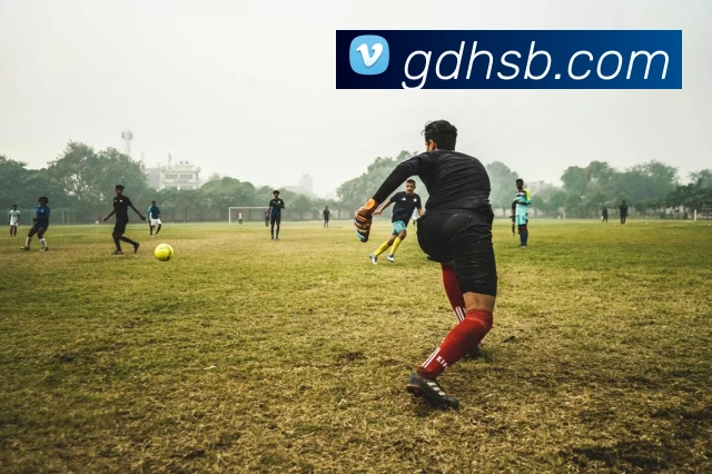 米兰体育在线登陆入口APP 封面图